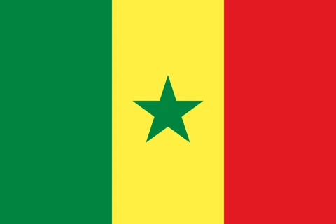 Senegal bayrağı