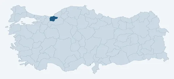35. sorunun görseli