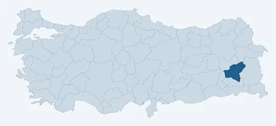 29. sorunun görseli