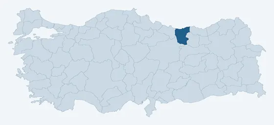 17. sorunun görseli
