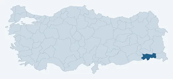 25. sorunun görseli