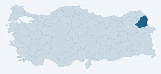 20. sorunun görseli