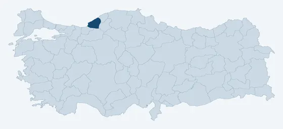24. sorunun görseli