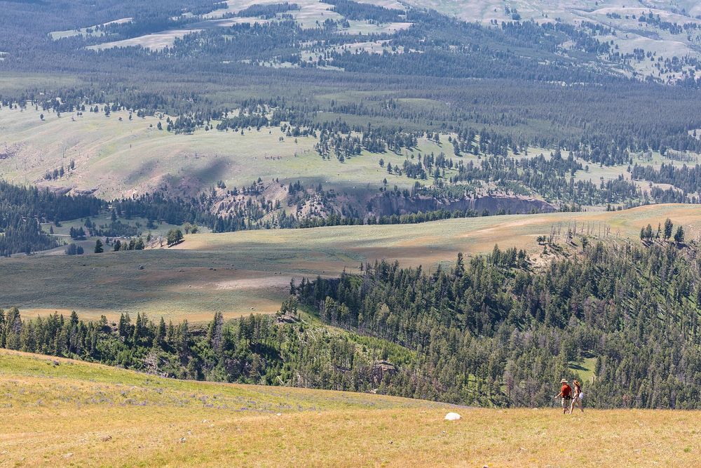 Specimen Ridge