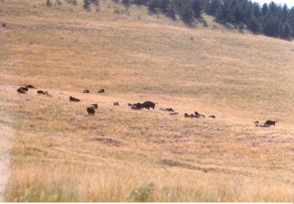 Dağ değişmedi