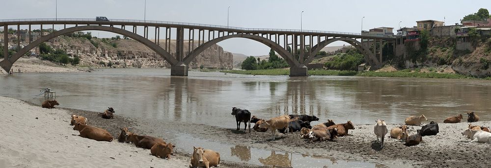 Dicle üzerinde yeni karayolu köprüsü