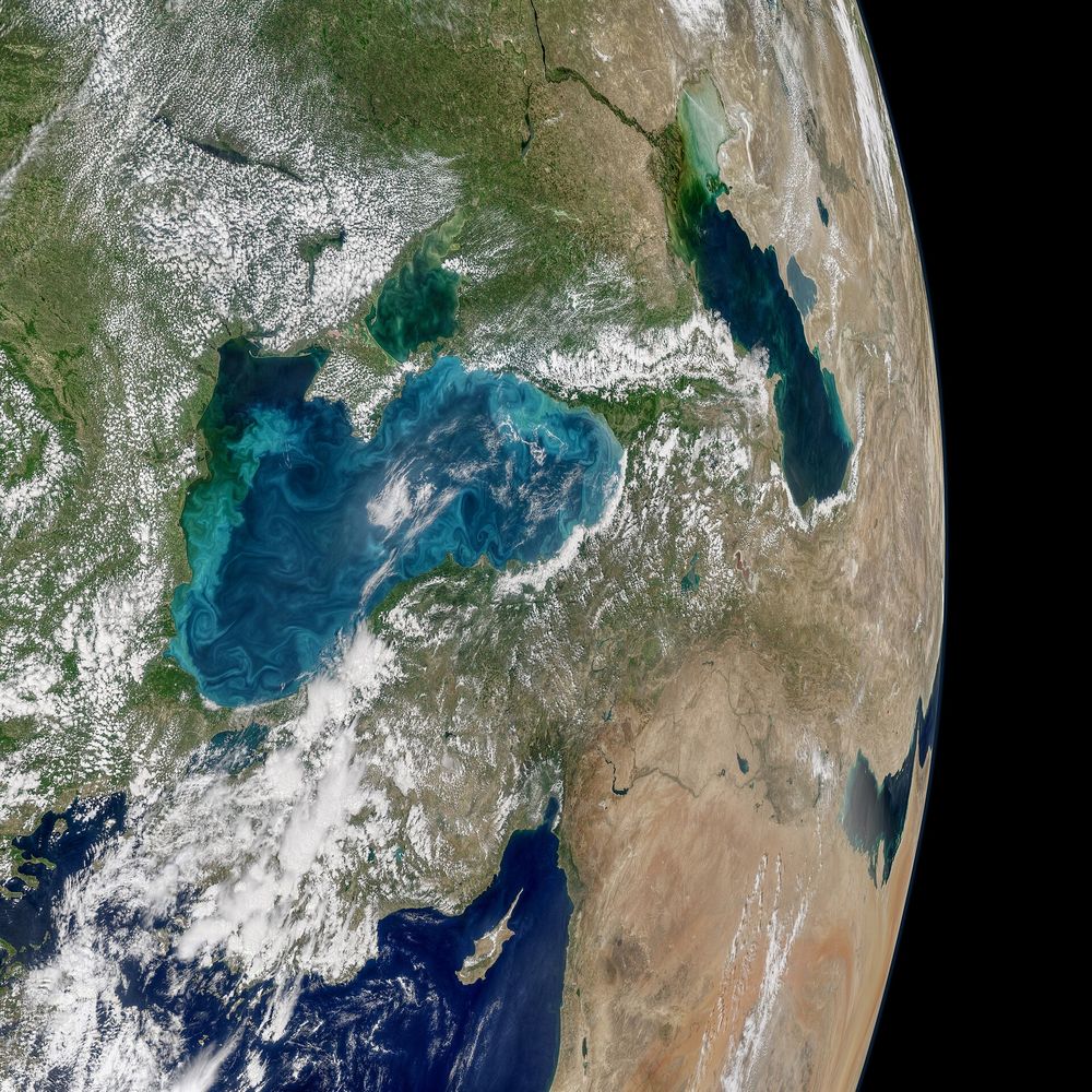 Yönlerin dili